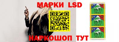 хмурый Тара